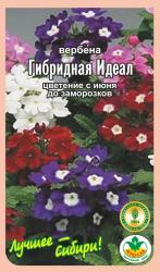 цв. одн. ВЕРБЕНА ИДЕАЛ КРУПНОЦВЕТКОВАЯ / АГРО САД / НОВИНКА !!!
